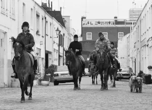 Horse riders in Hyde Park Gardens Mews on there way to the stables in Bathurst Mews Horse riders in Hyde Park Gardens Mews on there way to the stables in Bathurst Mews