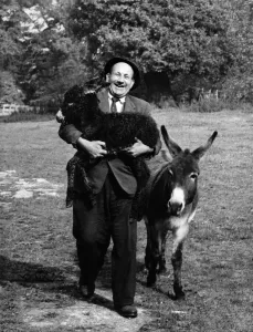 This is an hour-old donkey going by Shanks's pony. And very happy to be doing This is an hour-old donkey going by Shanks's pony. And very happy to be doing