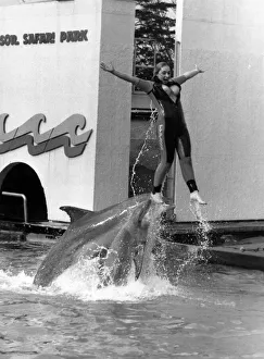 Jan Farrine is hoisted out of the water by a dolphin to surprise onlookers Jan Farrine is hoisted out of the water by a dolphin to surprise onlookers