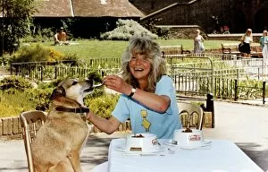 Images Dated 29th July 1991: Jilly Cooper author, journalist & enterpreneur at photocall to launch a new dog food