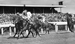 JOCKEY Alec Russell was suspended for three days at Newcastle for causing serious JOCKEY Alec Russell was suspended for three days at Newcastle for causing serious