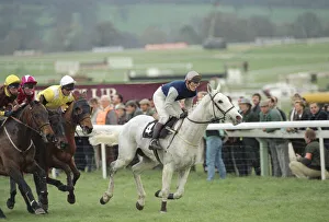 Jockey Richard Dunwoody on Desert Orchid leading the pack during the Gold Cup race at Jockey Richard Dunwoody on Desert Orchid leading the pack during the Gold Cup race at
