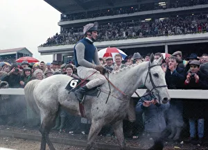 Jockey Simon Sherwood on famous racehorce Desert Orchild makes his way to the winner' Jockey Simon Sherwood on famous racehorce Desert Orchild makes his way to the winner'