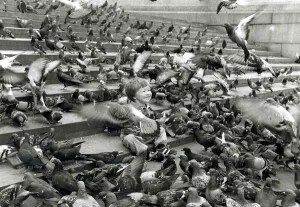 John Milller surrounded by pigeons in Trafalger Square. September 30th 1983 John Milller surrounded by pigeons in Trafalger Square. September 30th 1983