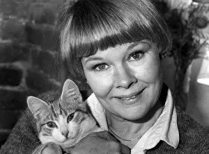 Judi Dench holding pet cat at home - 10 February 1981 Judi Dench holding pet cat at home - 10 February 1981