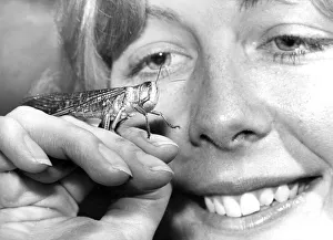 Julie Donkin with one of the locusts she has been studying in the Durham University Julie Donkin with one of the locusts she has been studying in the Durham University