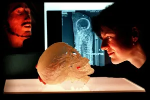 Katherine Erimin National Museum Scientist March 1998 with resin model skull of a Katherine Erimin National Museum Scientist March 1998 with resin model skull of a