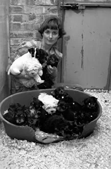 Images Dated 15th June 1980: One of the kennel maids at a animal charity re-homing centre for unwanted