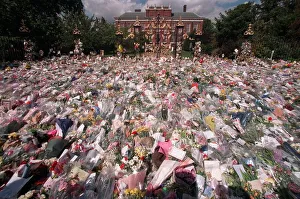 Kensington Palace September 1997 Flowers Floral Tributes to Princess Diana Kensington Palace September 1997 Flowers Floral Tributes to Princess Diana