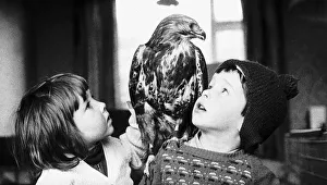 Kim and Gary Drake with pet Buzzard Beauty 1971 Kim and Gary Drake with pet Buzzard Beauty 1971