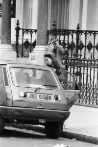 Koo Stark, Actress arrives back at her Brompton Road flat after being away for 3 months Koo Stark, Actress arrives back at her Brompton Road flat after being away for 3 months