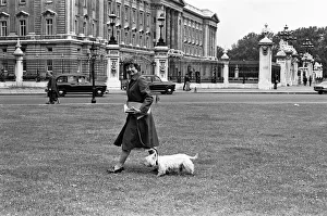 Labour MP Shirley Williams walking her dog. 7th June 1979 Labour MP Shirley Williams walking her dog. 7th June 1979