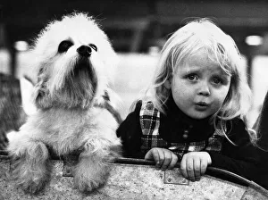 Lady and the Scamp. They look nervous. As well they might Lady and the Scamp. They look nervous. As well they might