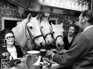 Landlord Allen Thompson serving drinks alround in the Dog & Partridge Hotel, at Bare, nr Landlord Allen Thompson serving drinks alround in the Dog & Partridge Hotel, at Bare, nr