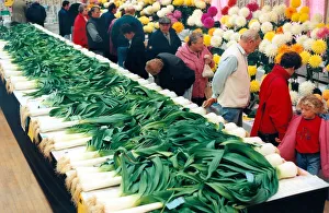 One of the many leek and flower shows that take place in the North East in September 1998 One of the many leek and flower shows that take place in the North East in September 1998