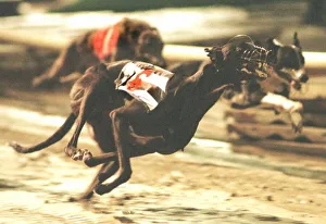 Let Me Run November 1998 on the way to giving Brian Clemenson his third Let Me Run November 1998 on the way to giving Brian Clemenson his third