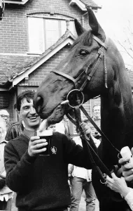 Little Polveir winner of the 1989 Grand National stops for a Pint of Beer outside Little Polveir winner of the 1989 Grand National stops for a Pint of Beer outside