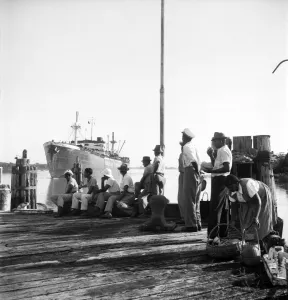 Locals watch the approach of the troopship carrying the Argyle Locals watch the approach of the troopship carrying the Argyle