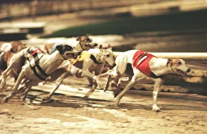 Lydpal Frankie November 1998 leads out of the first bend from Lady Flyaway Lydpal Frankie November 1998 leads out of the first bend from Lady Flyaway