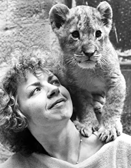 Marbles the lion cub being looked after by Denise Hammond at Lambton Pleasure Park in Marbles the lion cub being looked after by Denise Hammond at Lambton Pleasure Park in