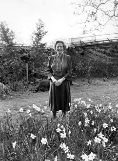 MARGARET THATCHER IN THE GARDEN OF 10 DOWNING STREET - 20TH MAY 1987 MARGARET THATCHER IN THE GARDEN OF 10 DOWNING STREET - 20TH MAY 1987