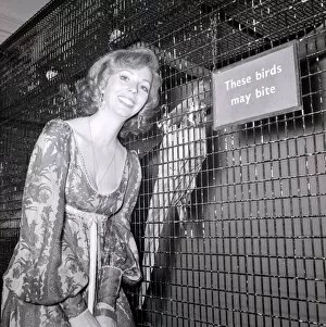 Images Dated 21st November 1973: Marion Montgomery Jazz Singer November 1973 Pictured with Bird at The London Zoo