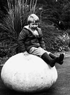 Images Dated 13th October 1981: Mathew McLean on a 248lb pumpkin 1981