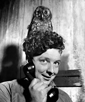 Mick, the owl, listens to every phone call that comes to the Cardiff garage of Mr Mick, the owl, listens to every phone call that comes to the Cardiff garage of Mr