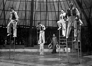 Images Dated 10th October 2007: Mills Circus. The daring troupe of ladder acrobats gave thrills