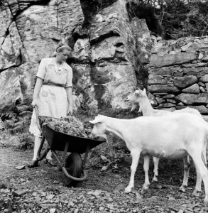 00009 Prints: Black and white Print of Soay Island Evacuation