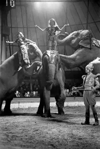 00015 Prints: Bertram Mills Circus Print, Luton 1950