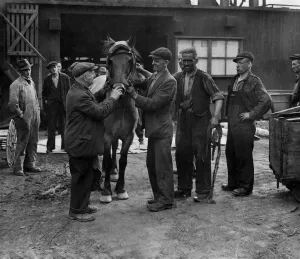 00026 Prints: Pit Pony Robin's First Look at Ladyshore Colliery Print