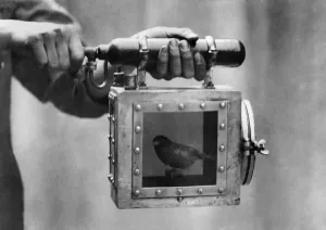 00030 Prints: Print of a canary testing the air in a mine, August 1922