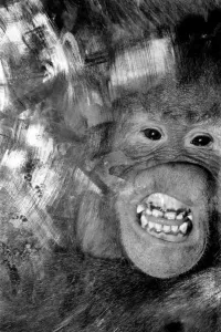 00033 Prints: Njonja and Tuan Orangutan Print