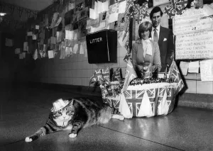 00036 Prints: Tiddles at Paddington Print