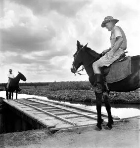 00038 Prints: Confrontation Print: Two Horsemen Face Off on a Bridge