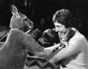 00044 Prints: Skippy the kangaroo in a print from April 1978
