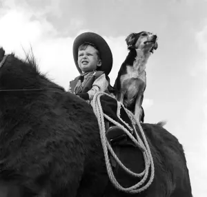Classic Pet Photography Prints: Small boy seen here playing cowboys with his dog Lassie. October 1953 D5962
