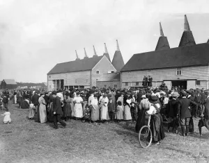 00048 Prints: Hop-pickers at Paddock Wood Kent Print, 1908