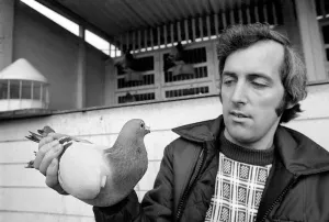00050 Prints: Pigeon Fancier Paul Smith Print, January 1975