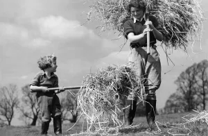 00051 Prints: Womens Land Army Girls at Work in British Countryside Print 1944