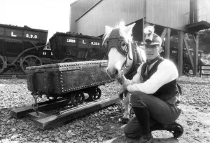 00053 Prints: Pit Pony Pip Print at Beamish Open Air Museum