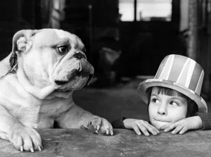 00054 Prints: 1977 Print: Bulldogs and Children Friendship Scene