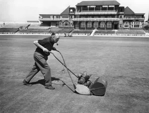 00059 Prints: Groundsman Bert Flack Finishes Test Wicket Print June 1966