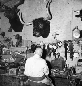 00064 Prints: Taxidermist Workshop Print, January 1960