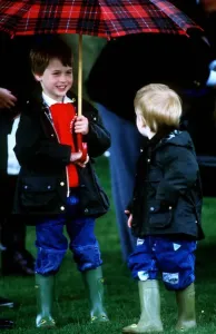 00065 Prints: Prince Harry and Prince William Polo Print