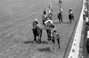 00067 Prints: Epsom Oaks 1980 Print: Willie Carson and Dick Hern's Victory