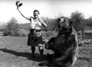 00068 Prints: We re back home! - Hercules the Bear Print, April 1984