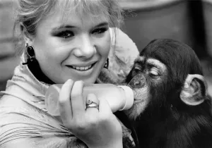 00069 Prints: Letitia Dean Feeds Adopted Chimp Kumi Print 1987
