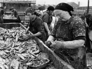 00072 Prints: Memory Lane Print: Herring Gutting in Scotland, October 1936